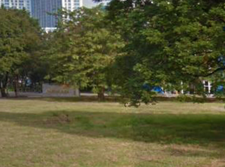 commercial lot for sale alabang