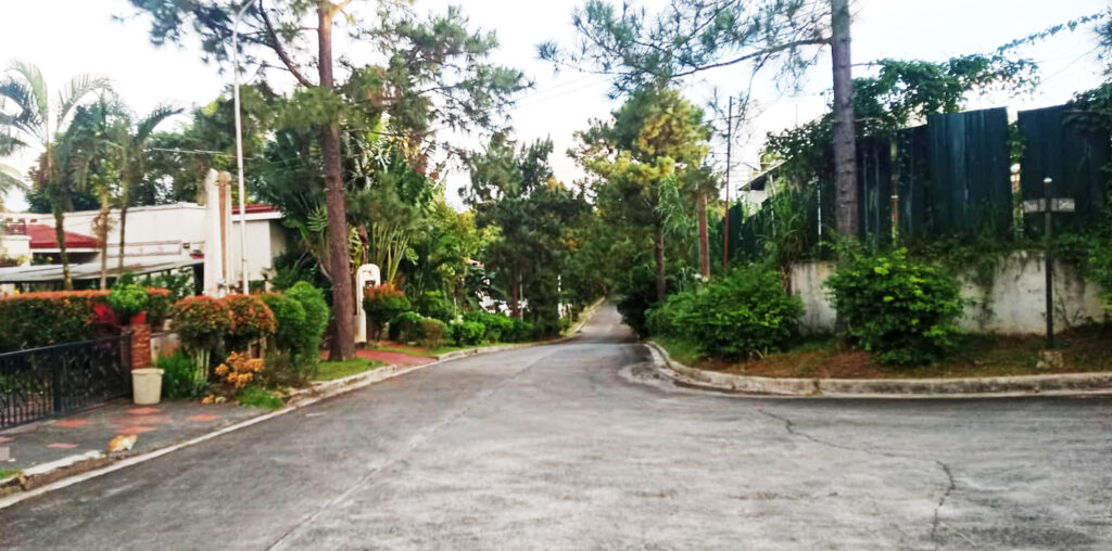 lot for sale cavite